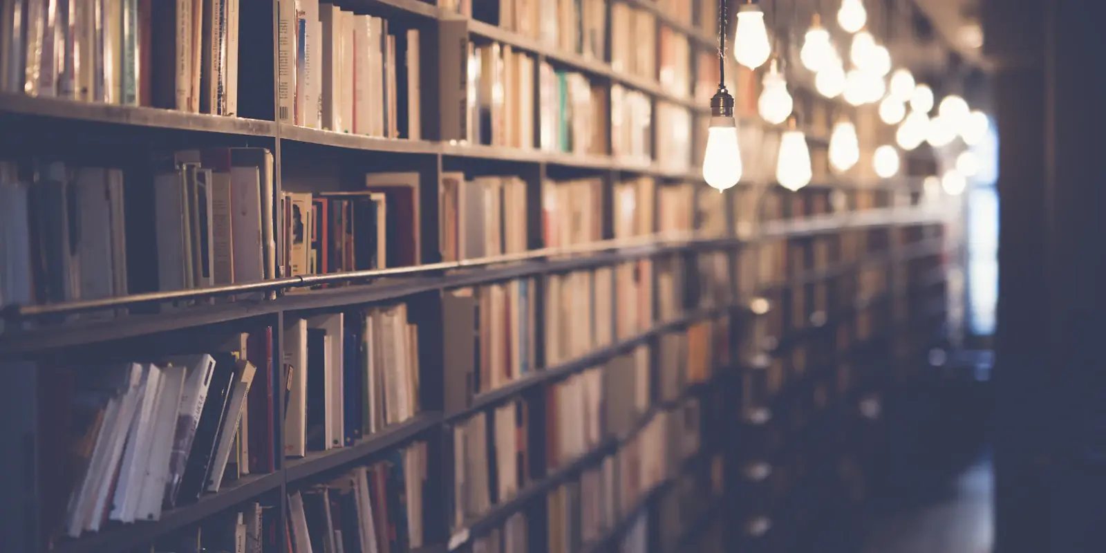Shelved volumes in a reading room